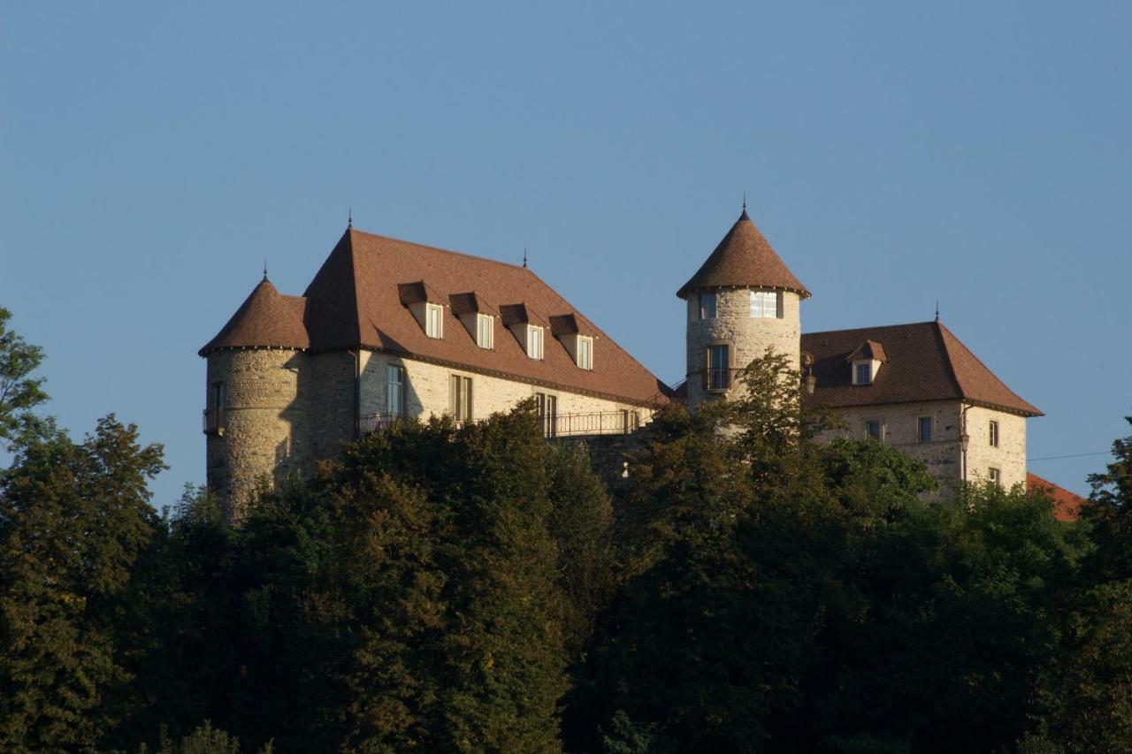 La Tour De Quinsonnas Serezin-de-la-Tour Exterior photo
