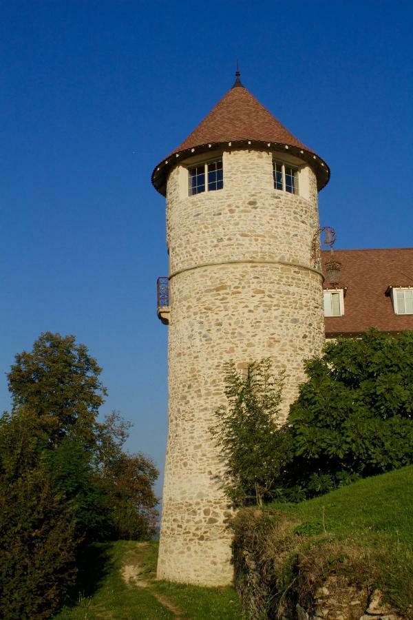 La Tour De Quinsonnas Serezin-de-la-Tour Exterior photo